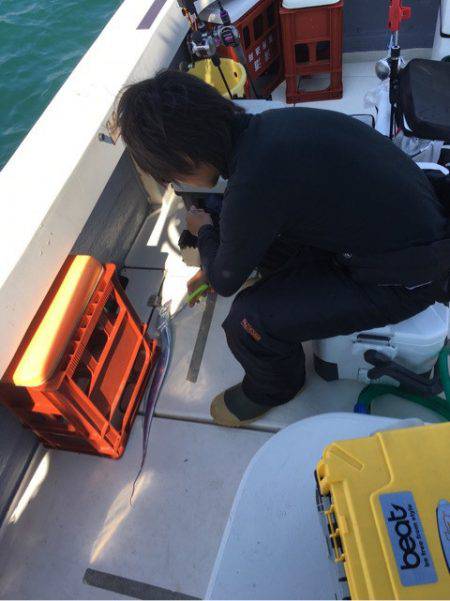 Ｖ−７ West 釣果