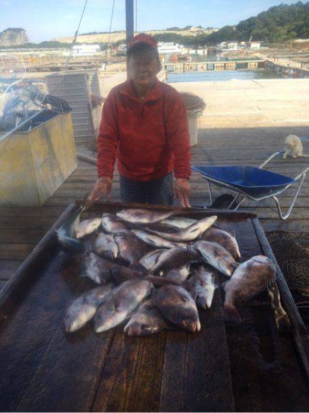 釣り堀水宝 釣果