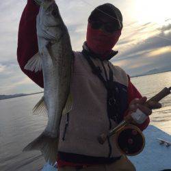 アマテラス 釣果