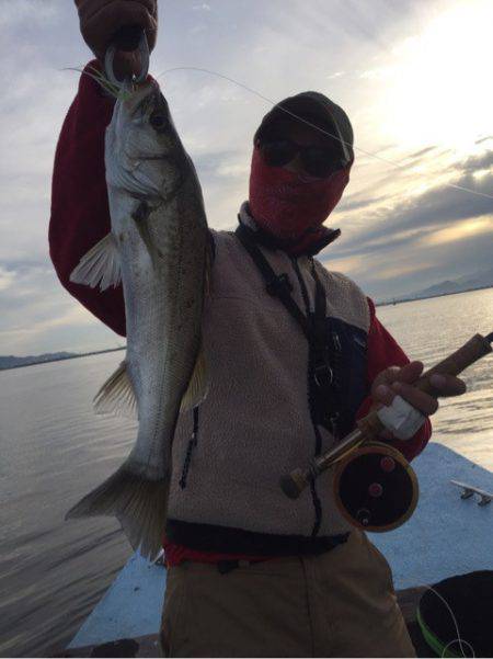 アマテラス 釣果