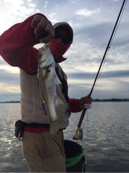 アマテラス 釣果