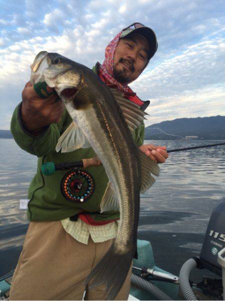 アマテラス 釣果