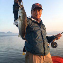 アマテラス 釣果