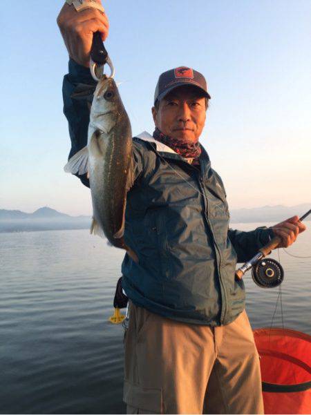 アマテラス 釣果