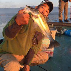 アマテラス 釣果