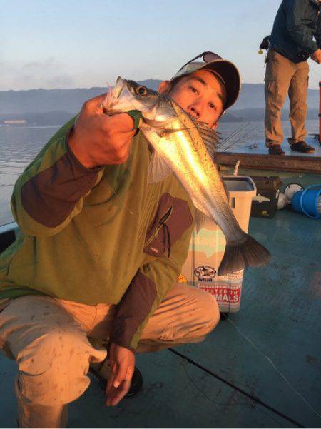 アマテラス 釣果