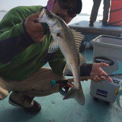 アマテラス 釣果