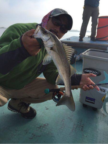 アマテラス 釣果