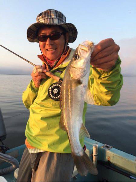 アマテラス 釣果