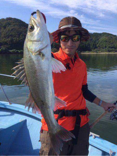 アマテラス 釣果