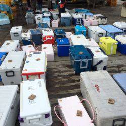 釣り堀水宝 釣果