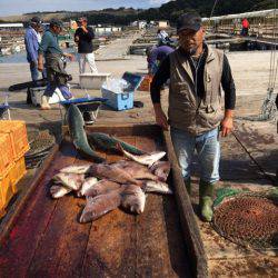 釣り堀水宝 釣果