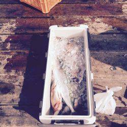 釣り堀水宝 釣果