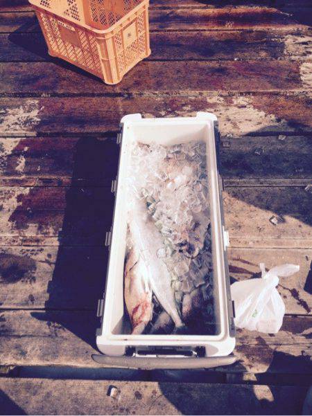 釣り堀水宝 釣果