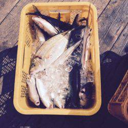 釣り堀水宝 釣果