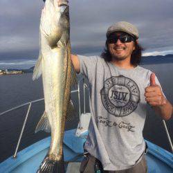 アマテラス 釣果