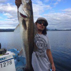 アマテラス 釣果