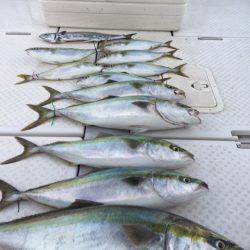 ビッグファイター 釣果