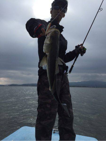 アマテラス 釣果