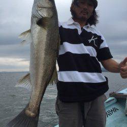 アマテラス 釣果