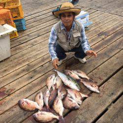 釣り堀水宝 釣果