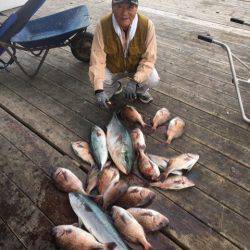 釣り堀水宝 釣果