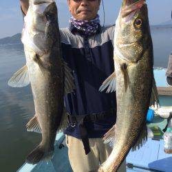 アマテラス 釣果