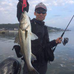 アマテラス 釣果