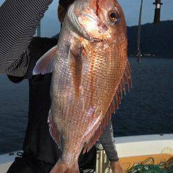 龍神丸(鹿児島) 釣果