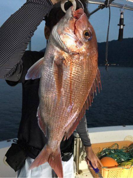 龍神丸(鹿児島) 釣果