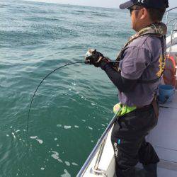 ビッグファイター 釣果