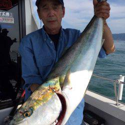 ビッグファイター 釣果