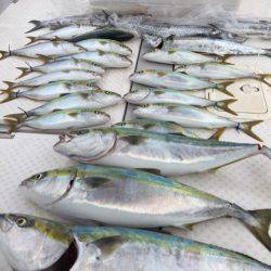 ビッグファイター 釣果