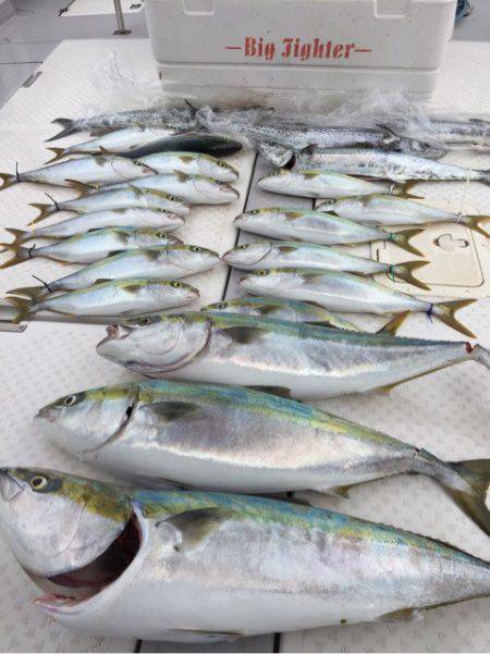 ビッグファイター 釣果