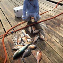 釣り堀水宝 釣果