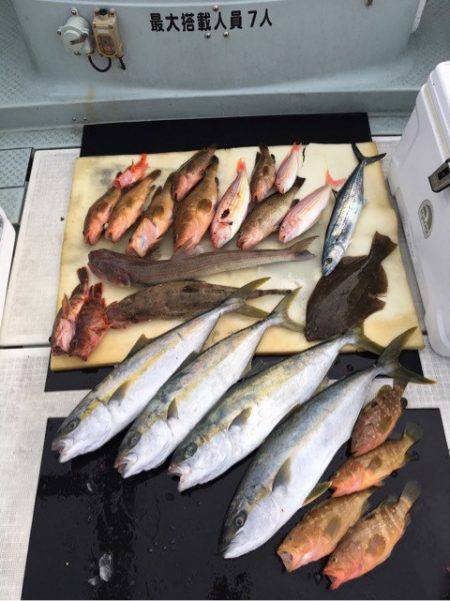 さくら丸 釣果
