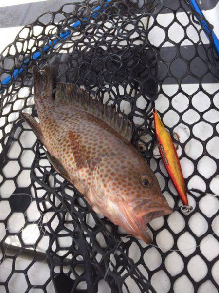 第二 海洋丸 釣果