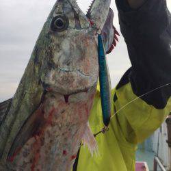 ぽん助丸 釣果