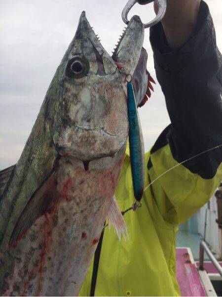 ぽん助丸 釣果