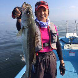 アマテラス 釣果