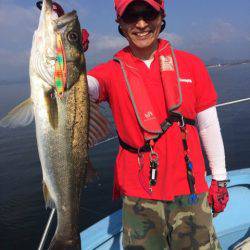 アマテラス 釣果