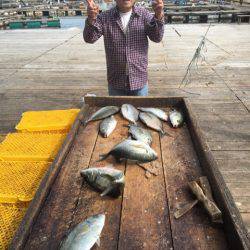 釣り堀水宝 釣果