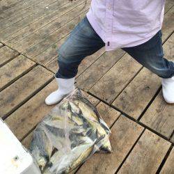 釣り堀水宝 釣果