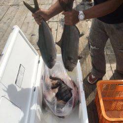 釣り堀水宝 釣果