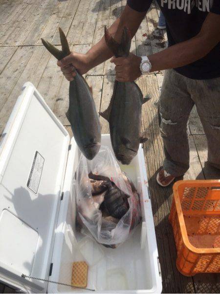 釣り堀水宝 釣果