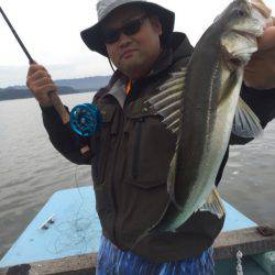 アマテラス 釣果