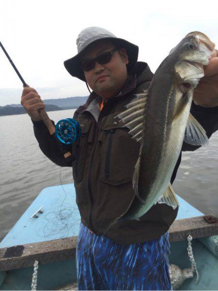 アマテラス 釣果