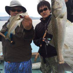 アマテラス 釣果