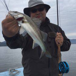アマテラス 釣果