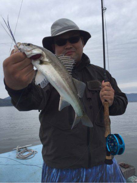 アマテラス 釣果